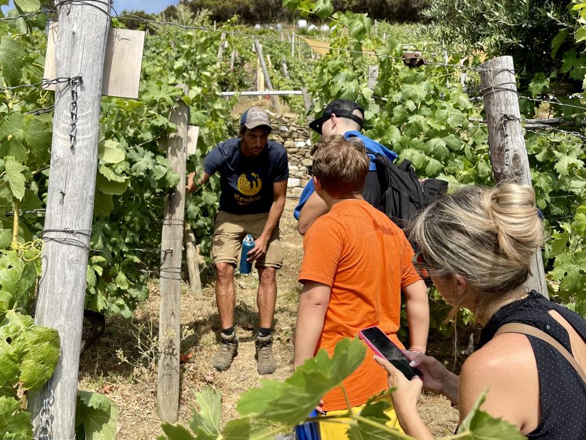 Vernazza: Panoramic Vineyard Trekking Tour w/ Wine Tasting - Start point in Vernazza: finding Cinque Sensi fast