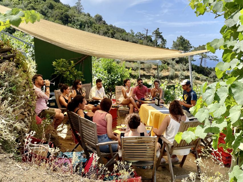 Vernazza: Panoramic Vineyard Trekking Tour w/ Wine Tasting - Photo stop and guided talk: Vernazza from a higher angle