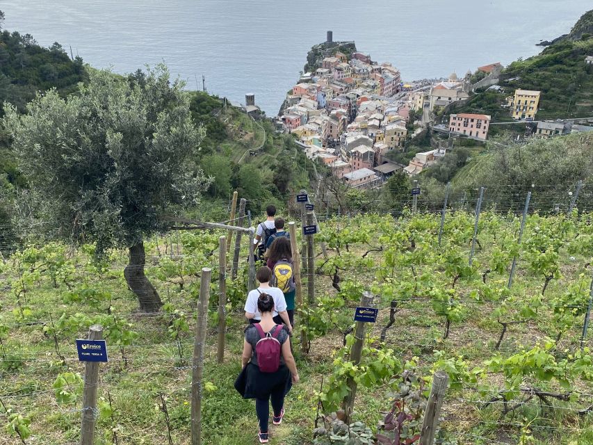 Vernazza: Panoramic Vineyard Trekking Tour w/ Wine Tasting - Small group, English/Italian: how it feels in real life
