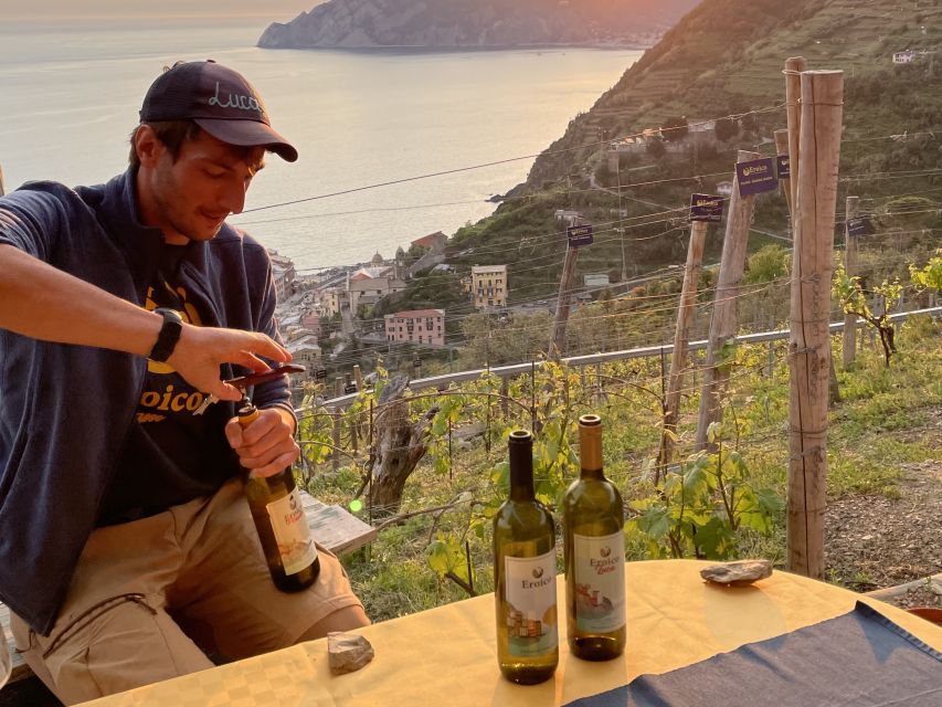 Vernazza: Panoramic Vineyard Trekking Tour w/ Wine Tasting - The price: is $77 worth it?