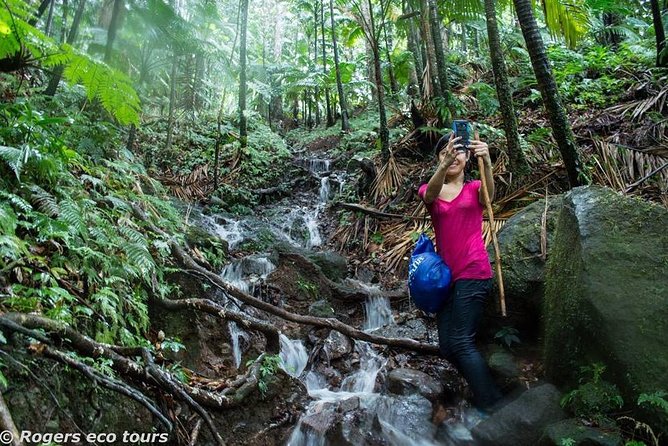Volcano Caldera (Mt. Liamuiga) Trek / Hike - Key highlights at a glance