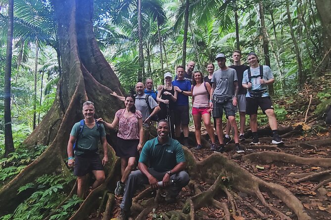 Volcano Caldera (Mt. Liamuiga) Trek / Hike - Price and value: what $90 includes and what it depends on