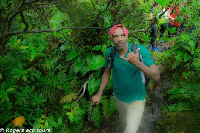 Volcano Caldera (Mt. Liamuiga) Trek / Hike - Weather, fitness, and who this trek suits best