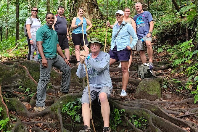 Volcano Caldera (Mt. Liamuiga) Trek / Hike - Should you book the Volcano Caldera trek?