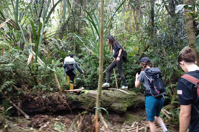 volcano hike and jungle trekking adventure - Lunch, Permits, Water, and Why the Price Feels Fair