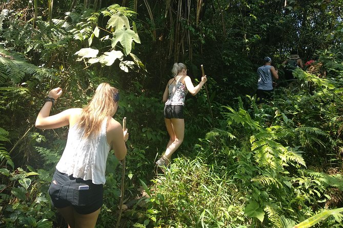 volcano hike and jungle trekking adventure - Guides and Drivers: The Human Part That Makes the Day Flow