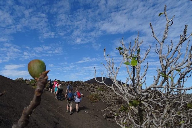 Volcano Trekking Tour (Timanfaya eruptions) - Getting there: pickup zones and the 9:30am start