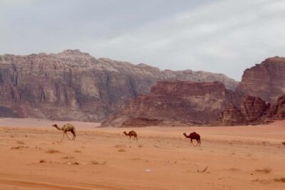 Wadi Rum: 2nights|3Day all-inclusive BedouinDesertExperience - Day 1: Desert Rest House, Jeep Highlights, Camel Ride, and Tea at Every Stop