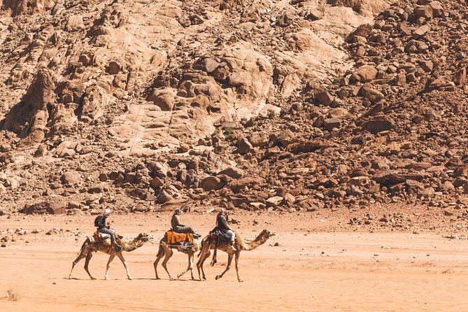 Wadi Rum: Camel Trek Adventure - Wadi Rum Protected Area: The Camel Ride That Actually Gives You Time