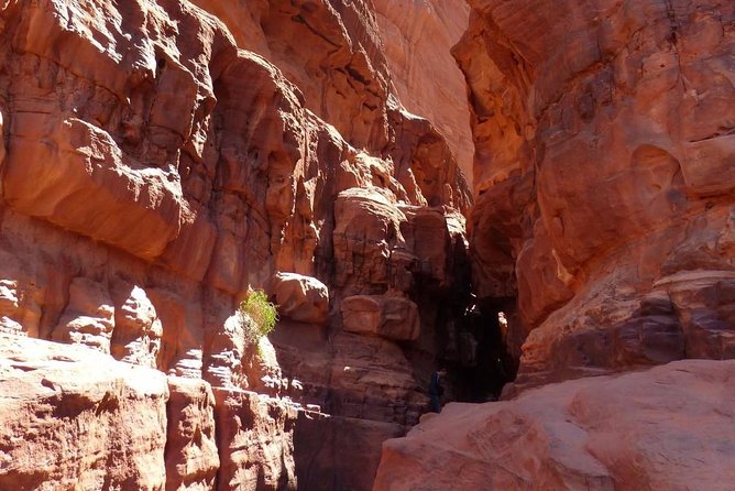 Wadi Rum: Camel Trek Adventure - Khazali Canyon: Petroglyphs and Inscriptions You Can Actually See