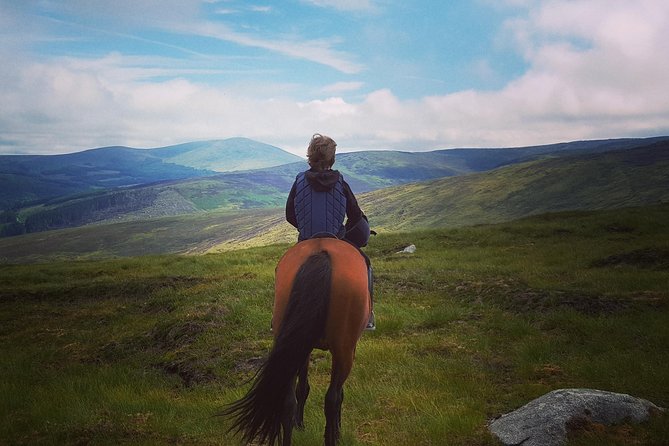 Wicklow Mountains Horse Trekking - Key Things You’ll Notice Right Away