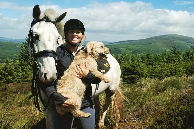 Wicklow Mountains Horse Trekking - The Quick Lesson Before You Ride (and Why It Matters)