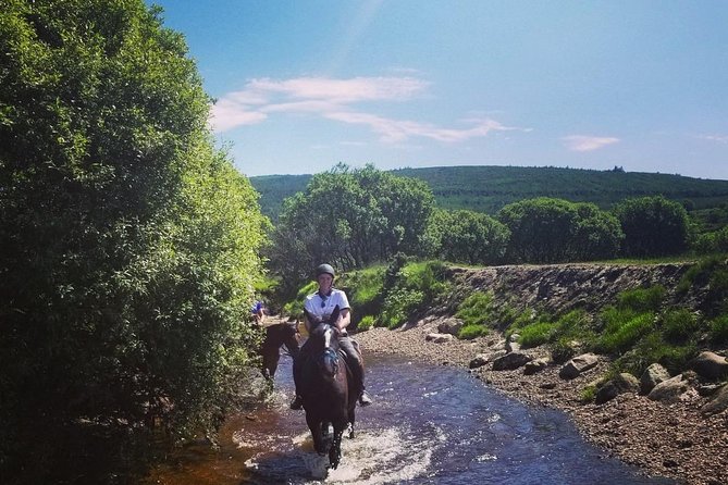 Wicklow Mountains Horse Trekking - Stop: Hollywood Horse And Pony Trekking (What “Stop 1” Really Means)