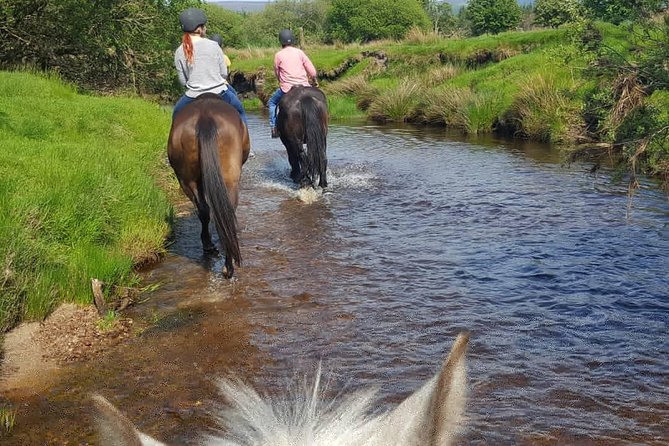 Wicklow Mountains Horse Trekking - Guides, Horses, and the Comfort Factor