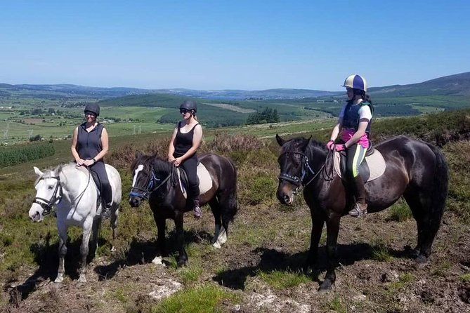 Wicklow Mountains Horse Trekking - Safety and Fitness: What You Should Assume