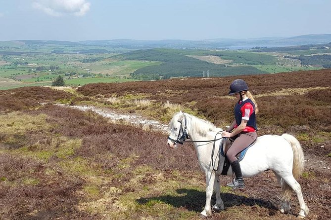 Wicklow Mountains Horse Trekking - What Small Groups Change for Your Day