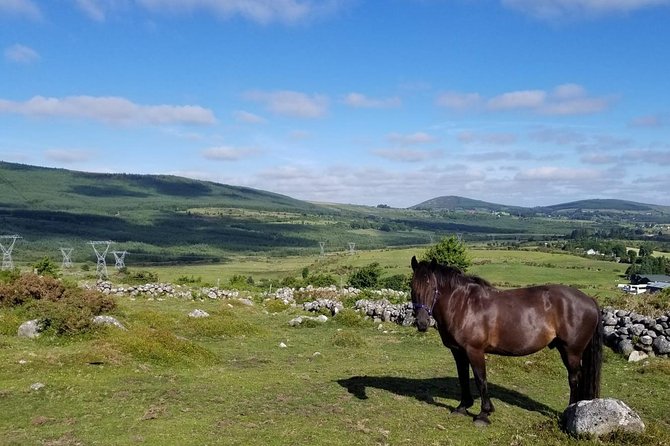 Wicklow Mountains Horse Trekking - Your Meeting Point at Hollywood Horse And Pony Trekking