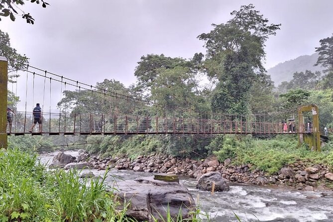 Wild Elephant Anakulam & Waterfalls Tour(munnar valley Trekking) - First Taste of Munnar: Anakulam and the Elephant View Waiting Game