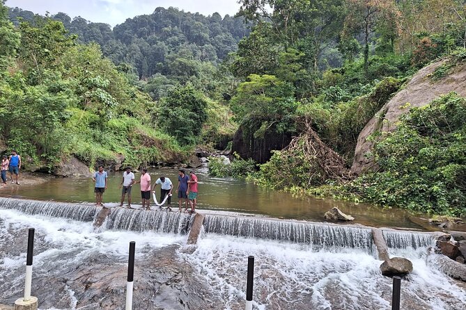 Wild Elephant Anakulam & Waterfalls Tour(munnar valley Trekking) - How the Day Really Feels: Timing, Driving, and Group Pace
