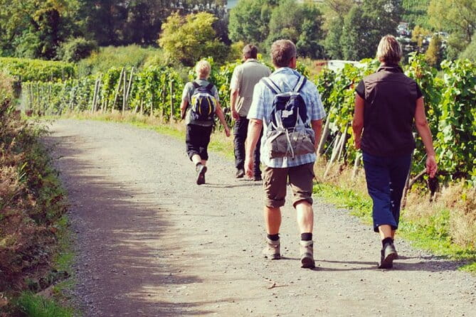 Wine Hiking Sip & Trek - Key Points I’d Use to Choose This Tour