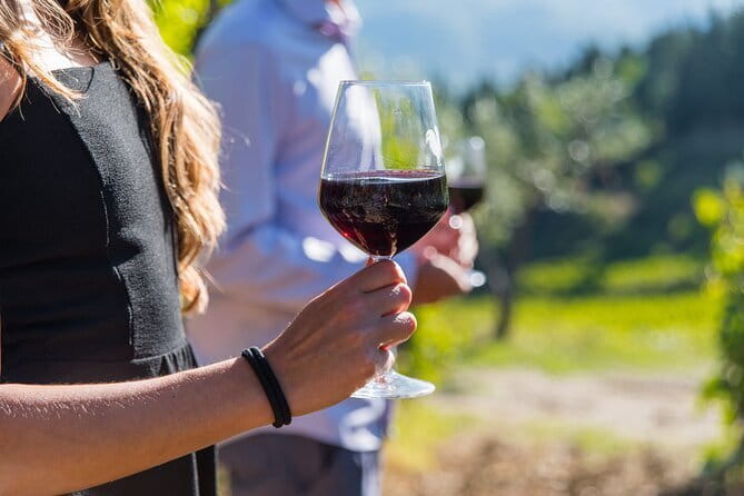 Wine Hiking Sip & Trek - A 7-Hour Chianti Wine Hike That Starts (and Ends) in Florence