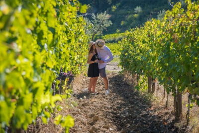Wine Hiking Sip & Trek - Getting Out to Montespertoli Without Driving Yourself