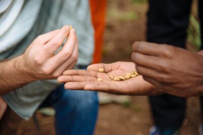 Women-led Coffee Farm Trek - URUGO Eco-Lodge and the Women’s Opportunity Center: Lunch plus meaning