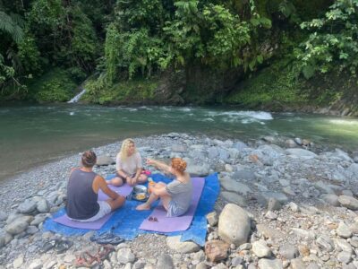 Wonderfull Orangutan Sumatera Jungle Trekking and tour - Key points to know before you go