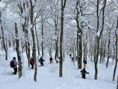 Yamagata: Icefall Ice Monster Snow Trekking with Local Guide - Gear-up: snowshoes, light crampons, poles, helmet, beacon