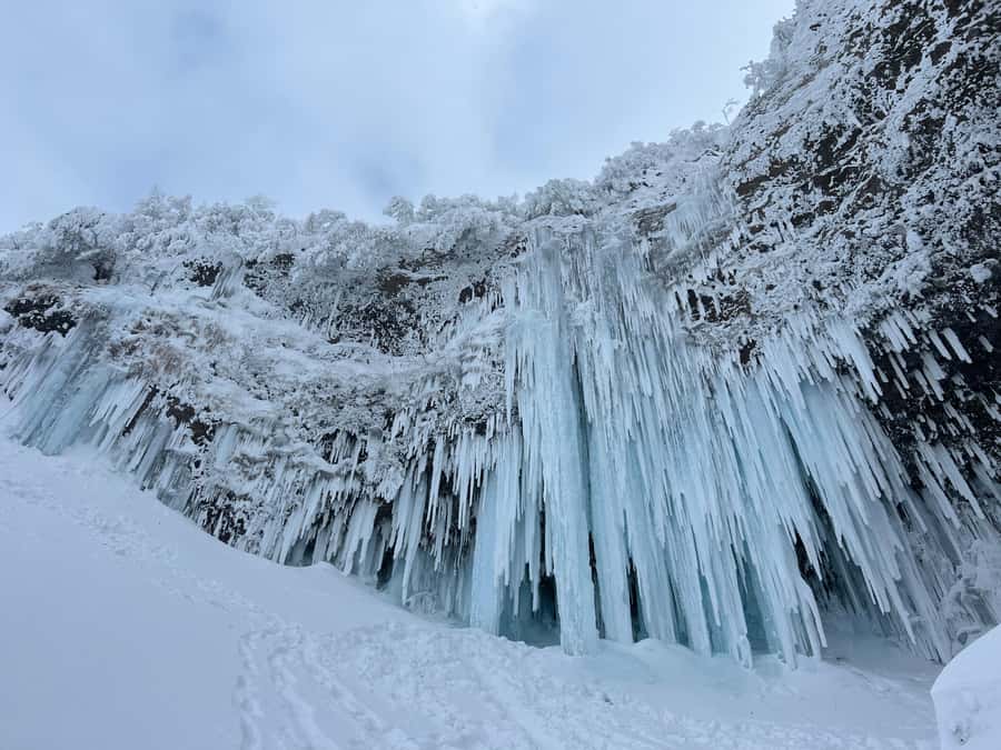 Yamagata: Icefall Ice Monster Snow Trekking with Local Guide - Returning up and back down: snowshoes, steep climbing, and that optional butt-sled moment