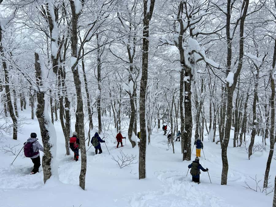 Yamagata: Icefall Ice Monster Snow Trekking with Local Guide - Gear-up: snowshoes, light crampons, poles, helmet, beacon