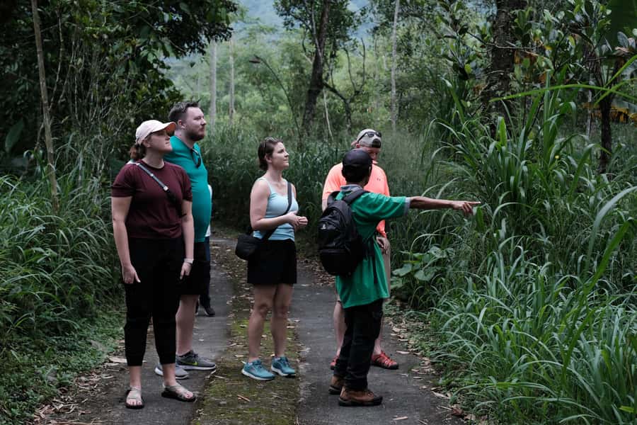 Yogyakarta : Mount Merapi Soft Trek and Botanic Village Tour - Key Points Before You Go