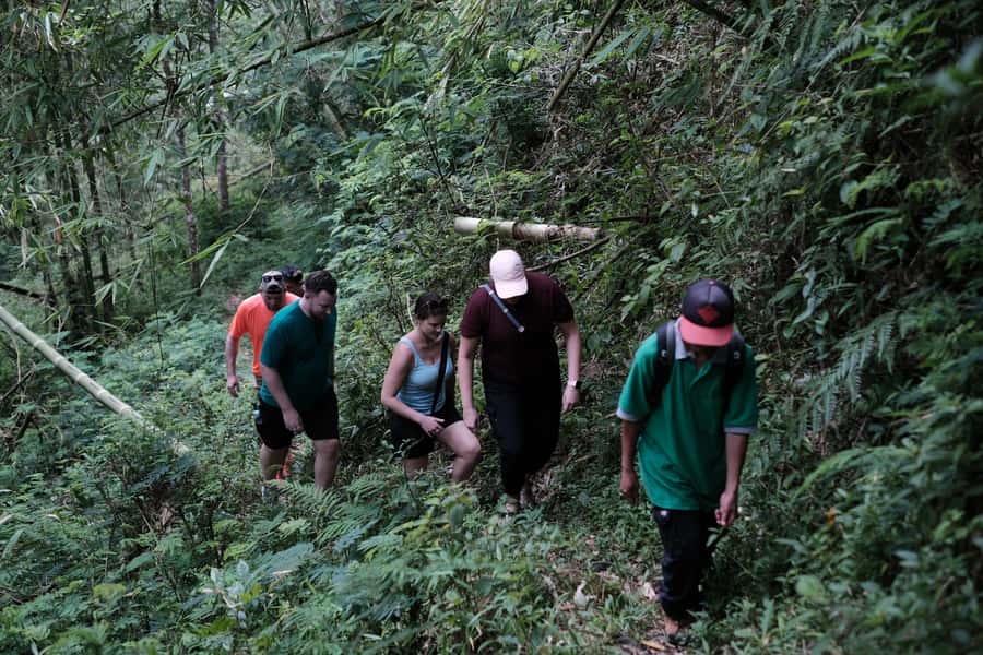 Yogyakarta : Mount Merapi Soft Trek and Botanic Village Tour - Should You Book This Merapi Soft Trek and Botanic Village Tour?