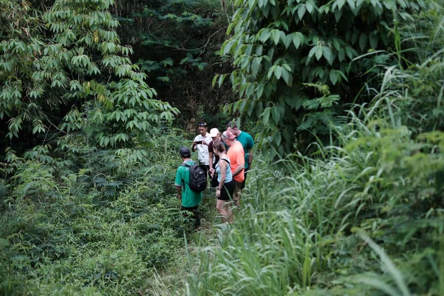 Yogyakarta : Mount Merapi Soft Trek and Botanic Village Tour - Botanical Gardens and Orchid Farms: More Than Pretty Plants