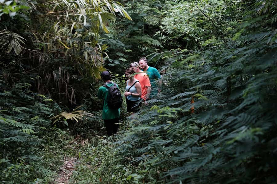 Yogyakarta : Mount Merapi Soft Trek and Botanic Village Tour - Food, Snacks, and the Home-Style Moment