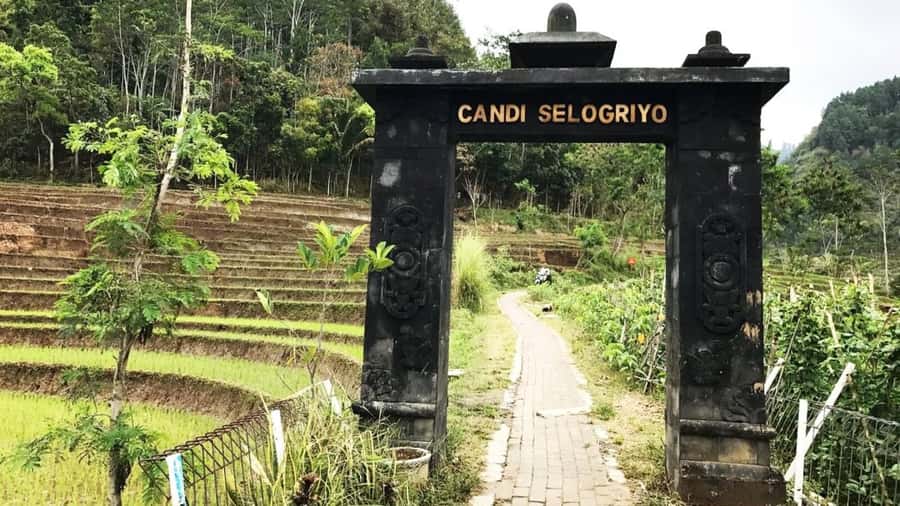 Yogyakarta: Selogriyo Temple and Rice Terrace Soft Trekking - Going back down: why the different path and food stop work