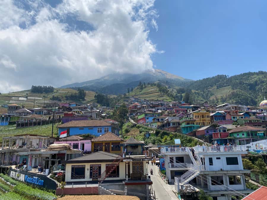 Yogyakarta :selogriyo temple, rice field trek& nepalvan java - Key highlights you’ll care about