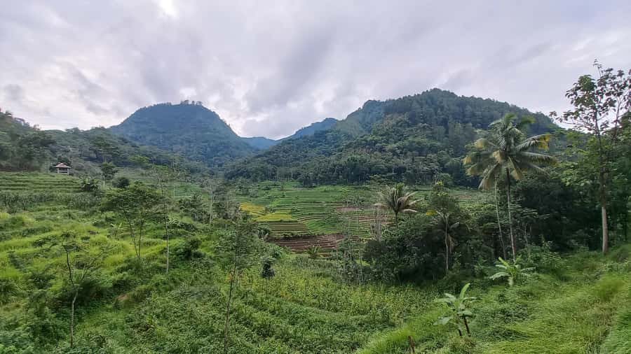 Yogyakarta :selogriyo temple, rice field trek& nepalvan java - FAQ