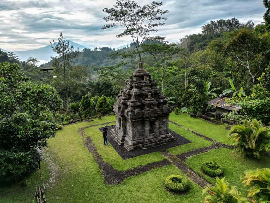 Yogyakarta :selogriyo temple, rice field trek& nepalvan java - Nepalvan Java Hill: Vegetable plantations, local villages, and real farm work