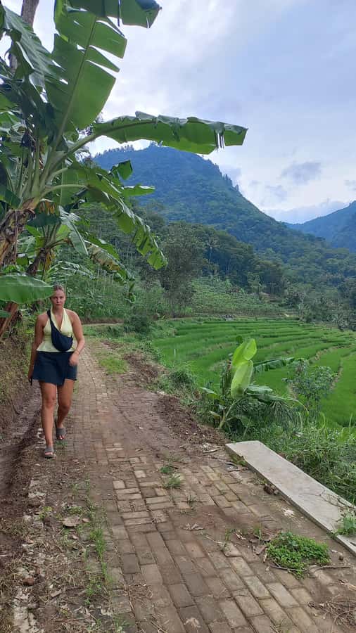Yogyakarta :selogriyo temple, rice field trek& nepalvan java - Entering Selogriyo Temple: 9th-century Mataram history you can walk up to