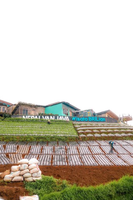Yogyakarta :selogriyo temple, rice field trek& nepalvan java - A practical packing checklist for the rice and hill portions