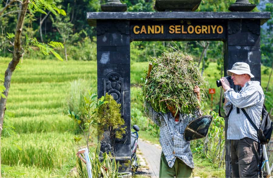 Yogyakarta: Selogriyo Temple Tour & Java Rice Terrace Trek - Walking into Selogriyo: the approach matters more than you expect