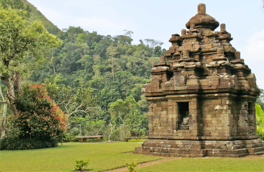 Yogyakarta: Selogriyo Temple Tour & Java Rice Terrace Trek - Tea, coffee, and local snacks: why it’s optional (and worth planning for)